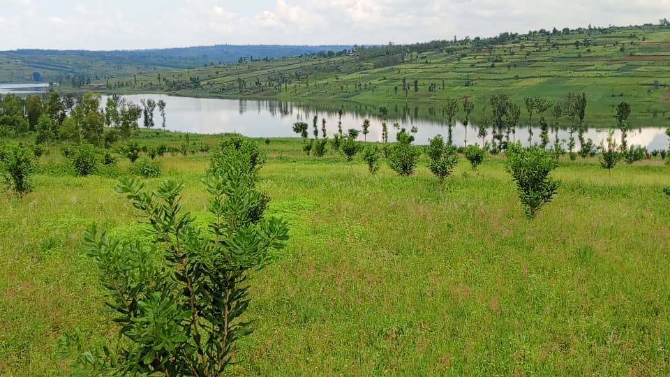 PS04- $29 740: Plot for Sale: In Kigali-Nyamata